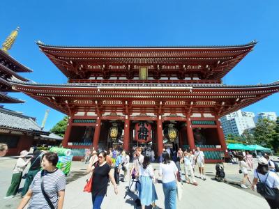 Jurnal de calatorie in Japonia - Tokyo, Nagano si Hakone highlights