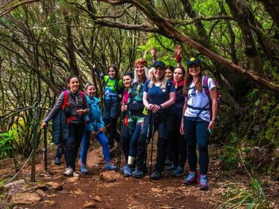 Vacanta Madeira: Aventura in Paradisul Atlanticului